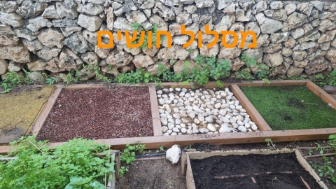 מרכז מטרה (2).jpg