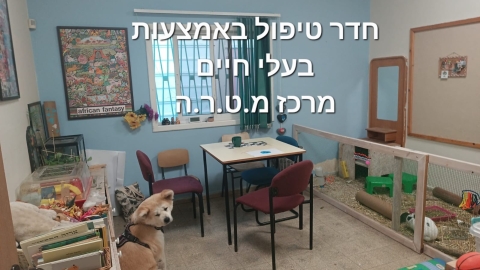 מרכז מטרה (5).jpg